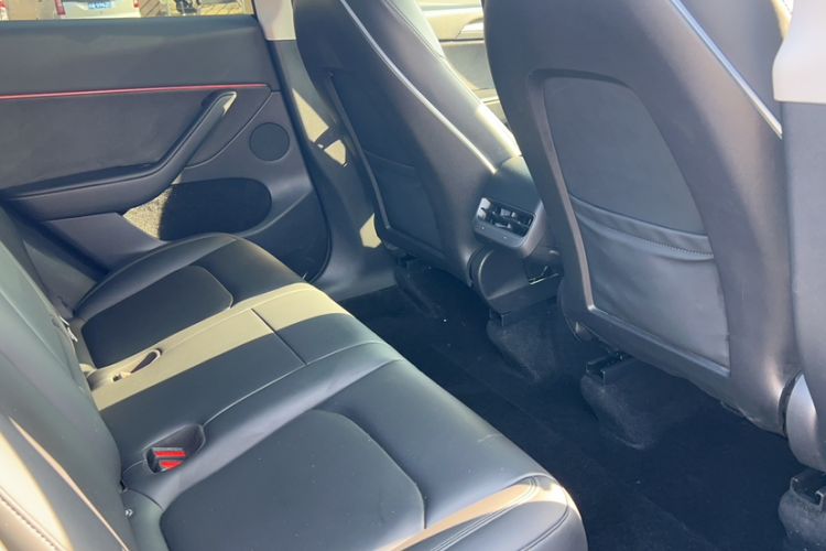 Used Tesla Model Y 2021 Standard Range Rear-Wheel Drive Version
