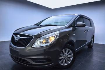 Used Buick GL8 2017 25S Luxury Version China V Standard