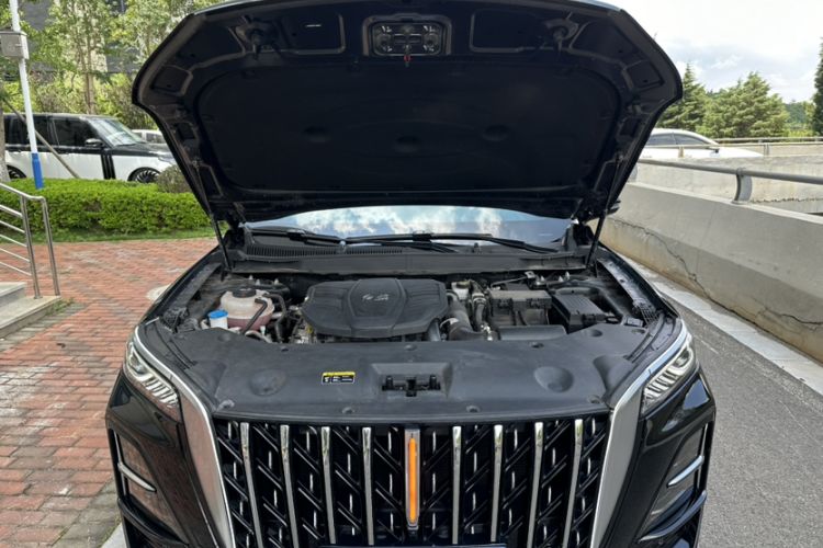 Used Hongqi HS5 2023 2.0T Qixiang Pro Edition
