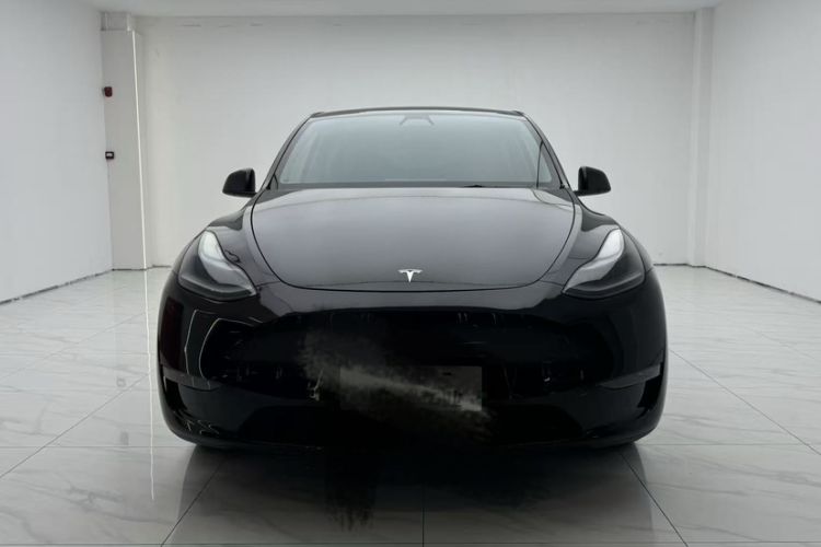 Used Tesla Model Y 2021 Standard Range Rear-Wheel Drive Version

