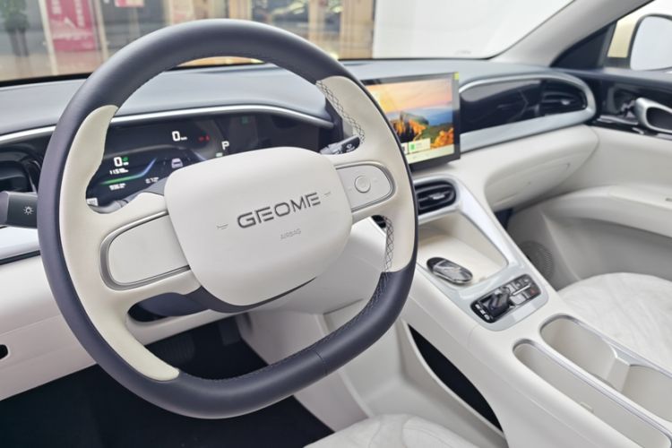 Used  Geome 2025 310km Youth Edition