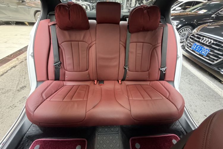 Used BMW 5 Series 2019 530Li Leading Model M Sport Package
