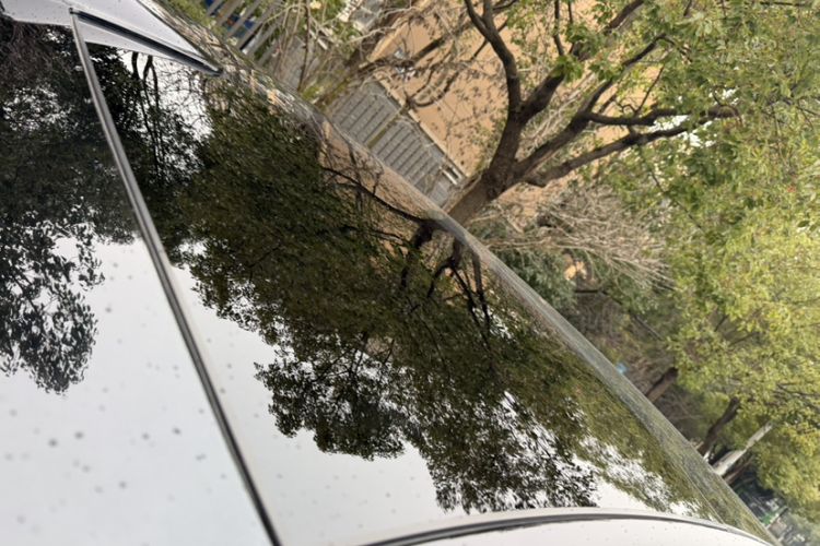 Used Li Auto L8 2024 Max