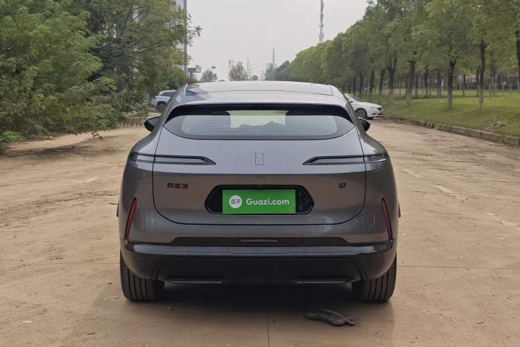 Used  07 2024 Max Pure Electric Edition
