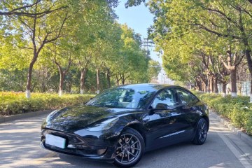 Used Tesla Model 3 2022 Rear-Wheel-Drive Version