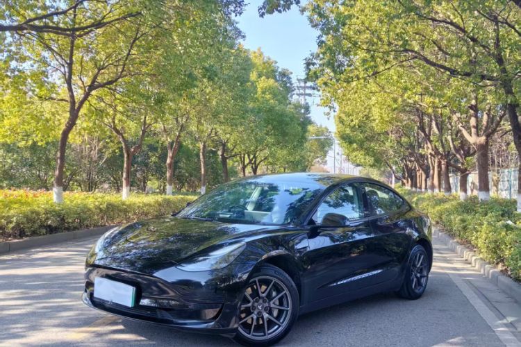 Used Tesla Model 3 2022 Rear-Wheel-Drive Version
