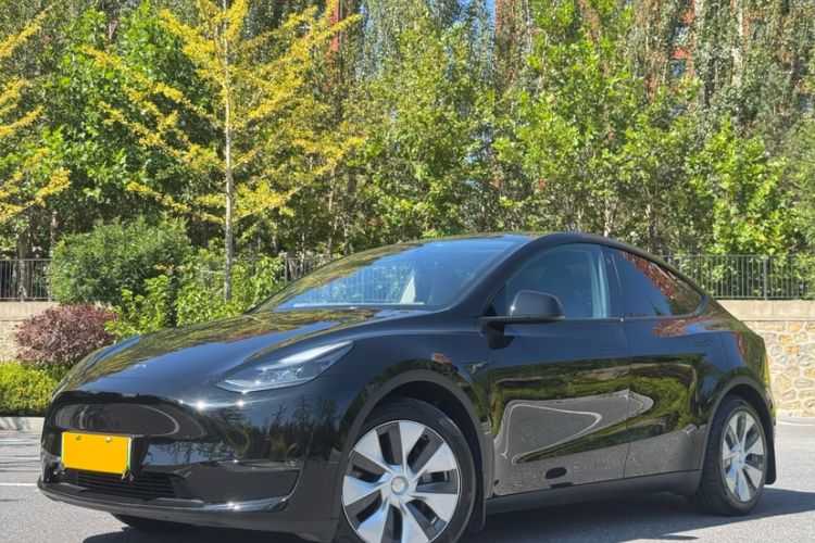 Used Tesla Model Y 2021 Standard Range Rear-Wheel Drive Version
