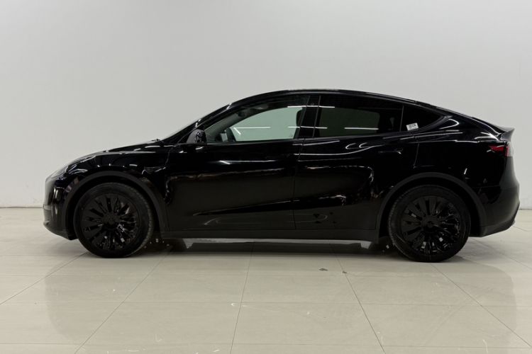 Used Tesla Model Y 2021 Standard Range Rear-Wheel Drive Version
