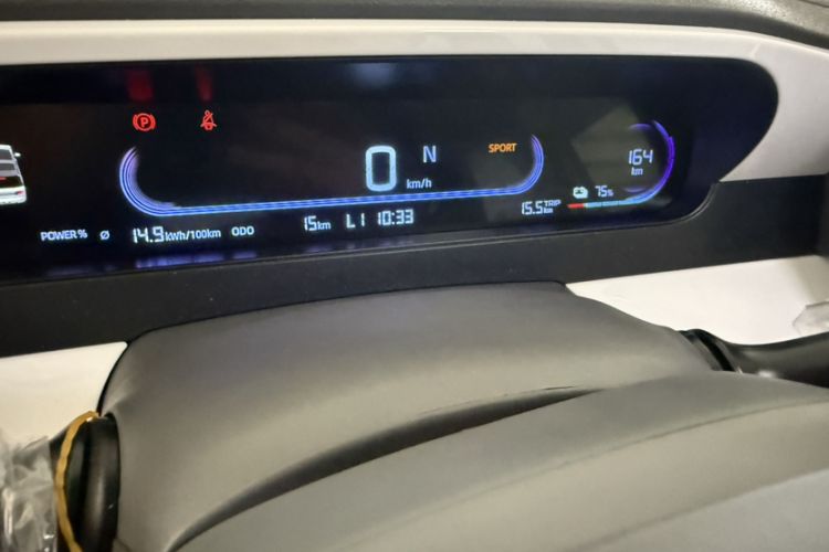 Used  Panda 2025 210 km – Yuanqi Bear
