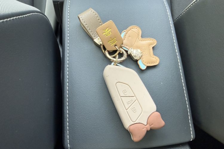 Used Volkswagen Golf 2024 280TSI DSG Pro 50th Anniversary Edition
