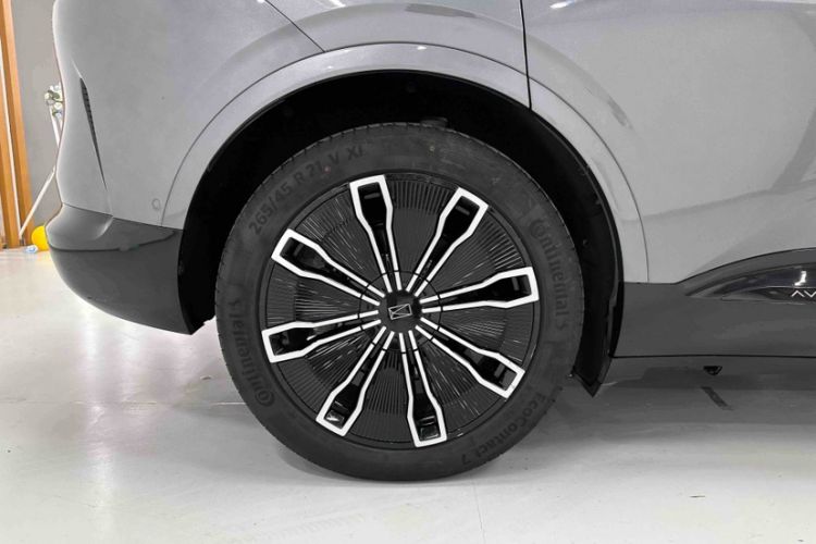 Used  07 2024 Max Extended-Range Edition