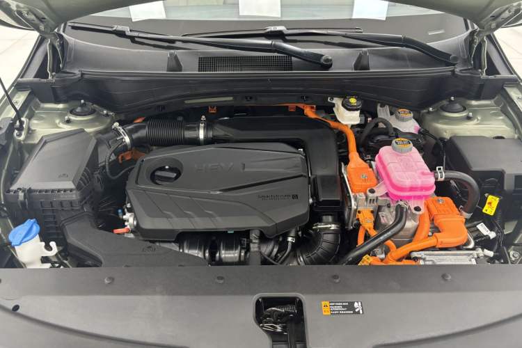 Used Kia Sportage 2023 2.0L HEV Two-Wheel Drive Flagship Edition
