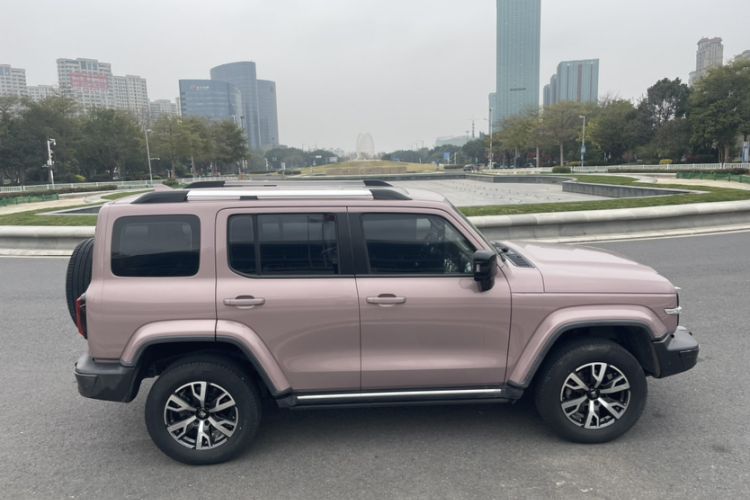 Used Tank 300 2021 City Edition 2.0T—Truly Stylish