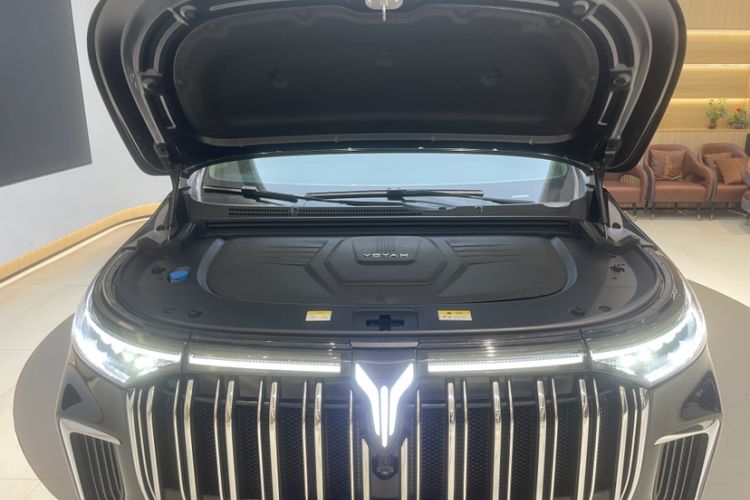 Used VOYAH Dream 2022 Low-Carbon Edition Home
