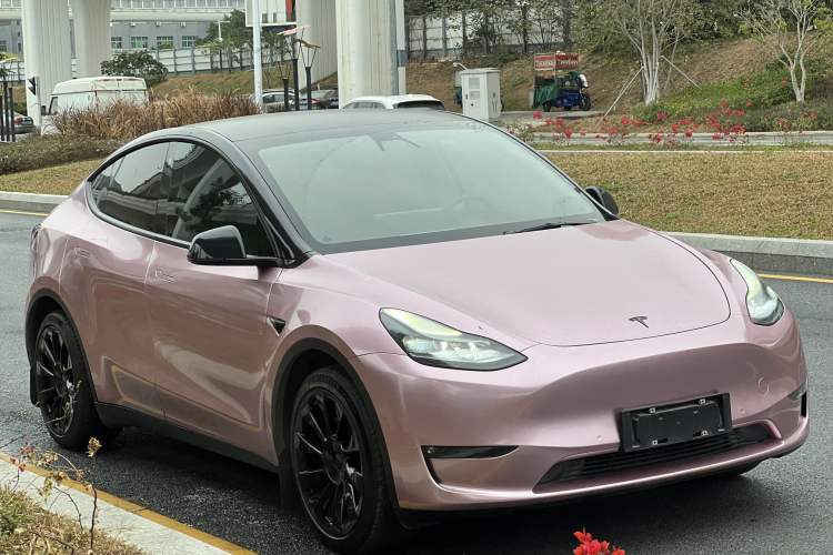 Used Tesla Model Y 2021 Standard Range Rear-Wheel Drive Version