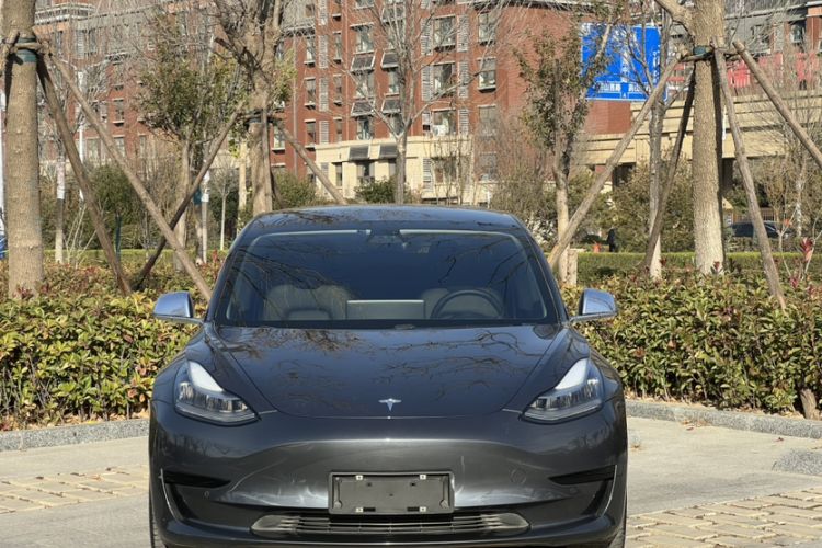 Used Tesla Model 3 2019 Standard Range Rear-Drive Upgraded Version
