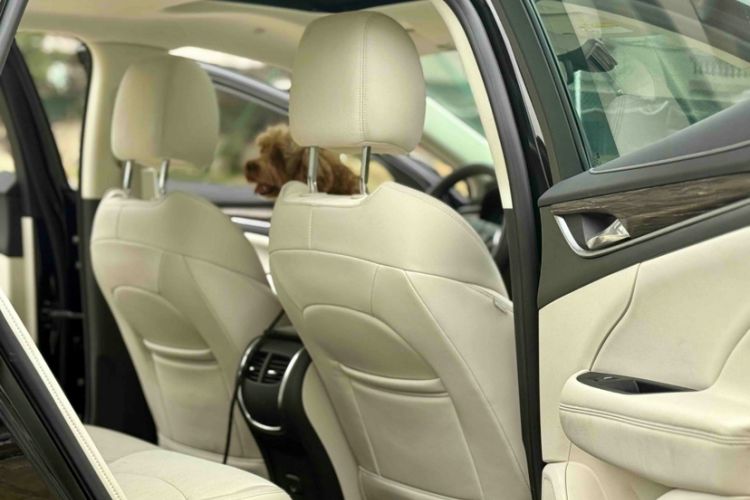 Used Buick LaCrosse 2019 28T Elite Edition
