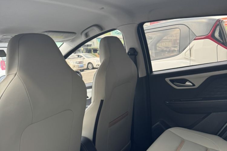 Used SOL E10X 2022 Flower Fairy Design Four-Leaf Clover
