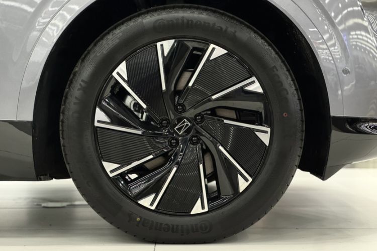 Used  07 2024 Max Pure Electric Edition
