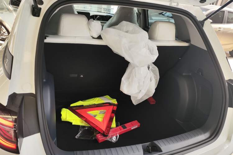 Used  Geome 2025 310km Youth Edition
