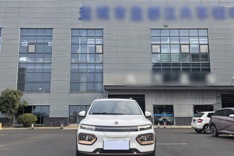 Used Dongfeng NAMMI BOX 2022 Light Wind Edition 201KM Lightning Model
