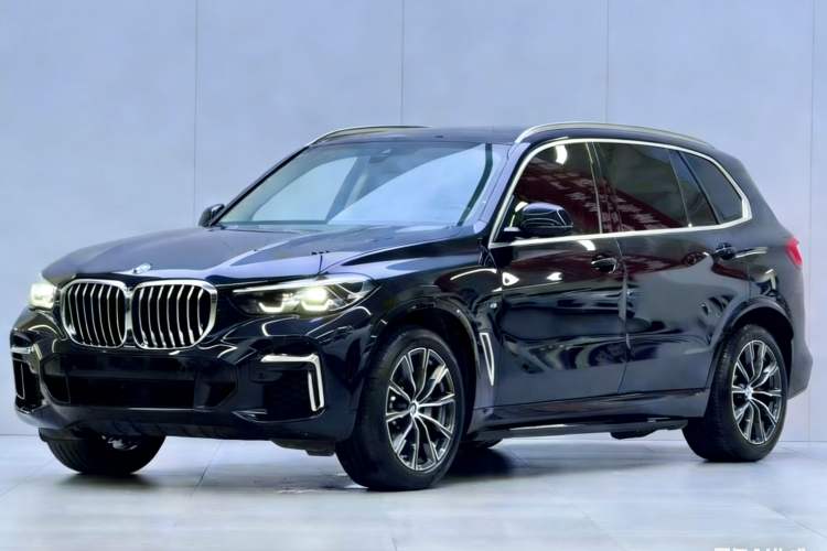 Used BMW X5 2022 xDrive 30Li M Sport Package