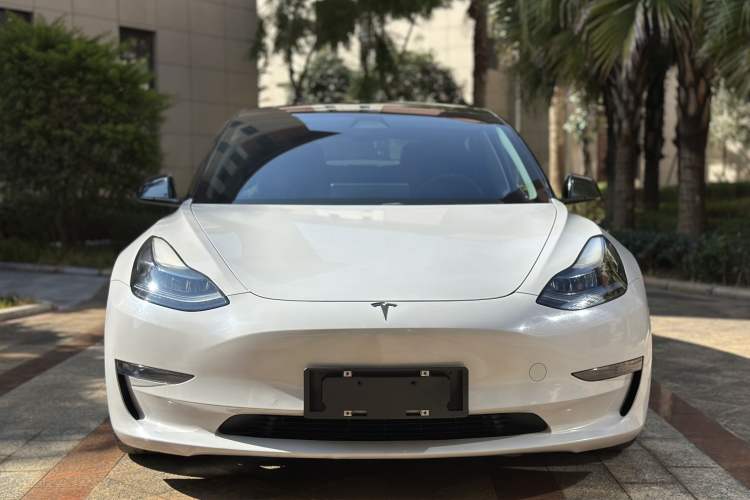 Used Tesla Model 3 2021 Performance High-Performance All-Wheel-Drive Version
