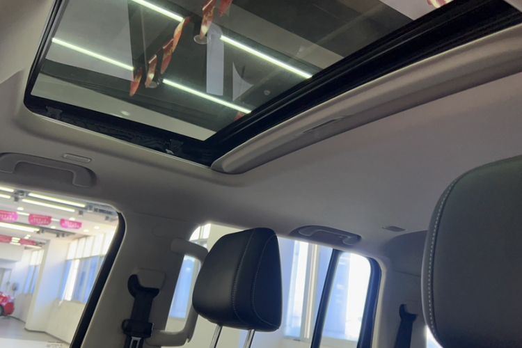 Used Tank 300 New Energy 2025 Hi4-T
