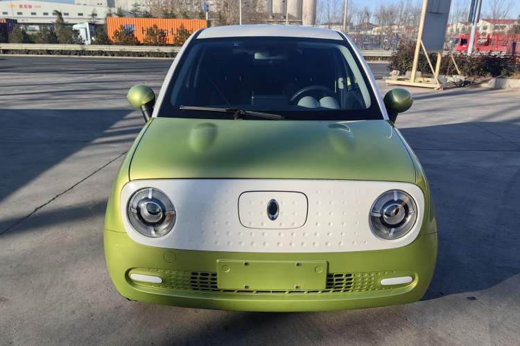 Used ORA Black Cat 2019 301km Standard Edition
