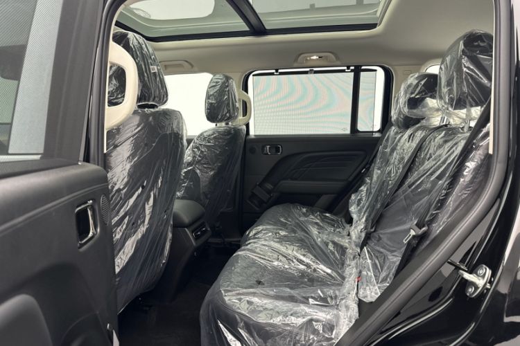 Used Haval Raptor New Energy 
