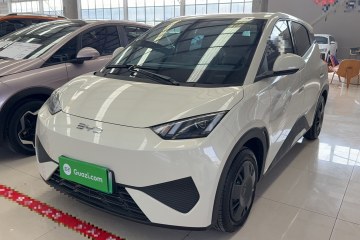 Used BYD Seagull 2025 Intelligent Driving Version 305 km Dynamic Edition