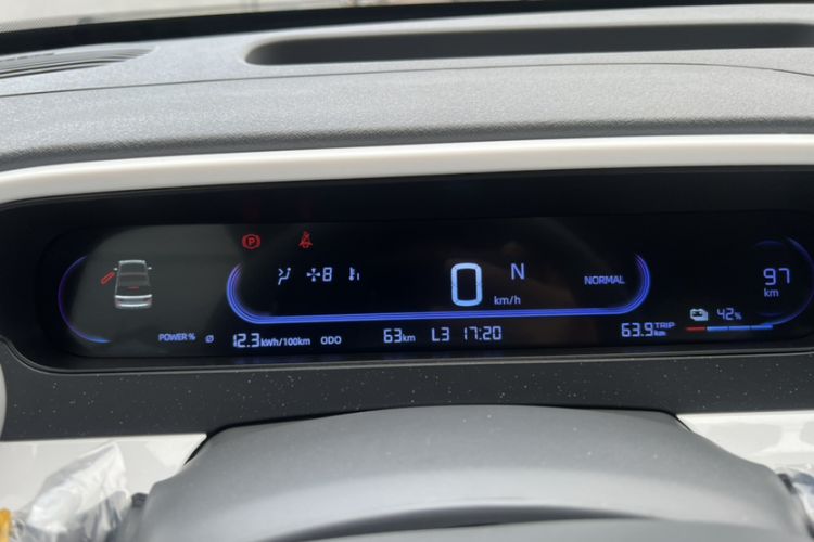 Used  Panda 2025 210km Panda Kart
