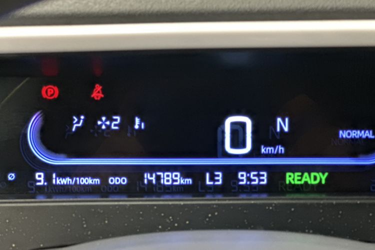 Used  Panda 2025 210km Panda Rider