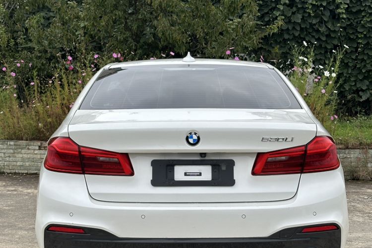 Used BMW 5 Series 2020 530Li Leading Model M Sport Package
