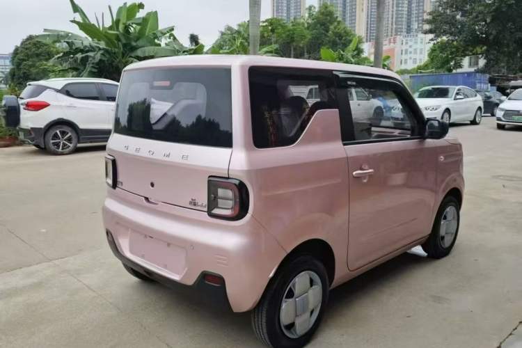 Used  Panda 2023 Panda Mini 200km Endurance Bear
