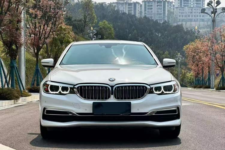 Used BMW 5 Series 2019 Facelifted 530Li Leading Edition Luxury Package
