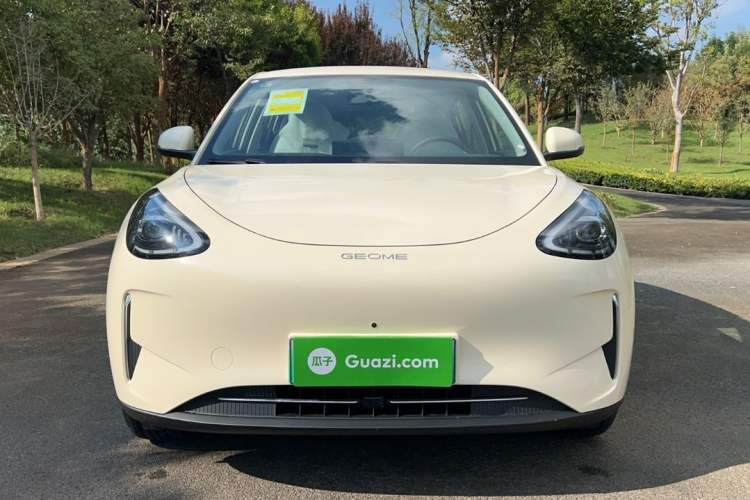 Used  Geome 2025 310km Dream Edition
