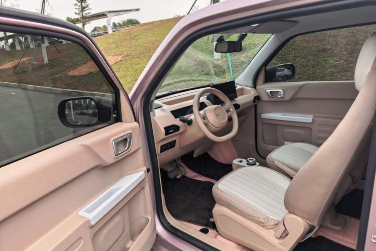 Used  Panda 2023 Panda Mini 200km Endurance Bear
