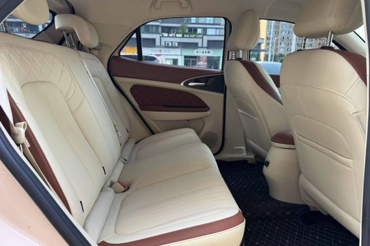 Used ORA Good Cat 2022 Morandi Edition 400km Standard Range Two-Week Young Enjoyment Version Lithium Iron Phosphate
