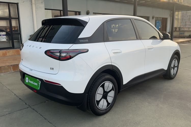 Used  Geome 2025 310km Youth Edition