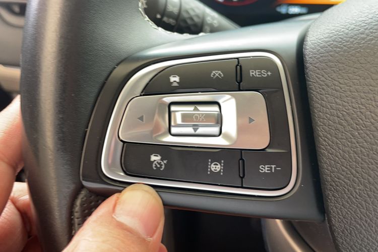 Used  Lingyun 2021 290T Two-Wheel Drive Starry Edition
