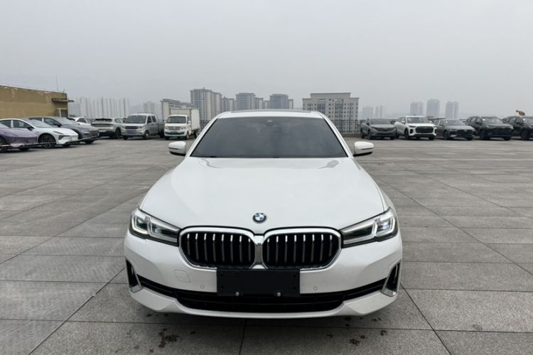 Used BMW 5 Series 2021 530Li Leading Luxury Package