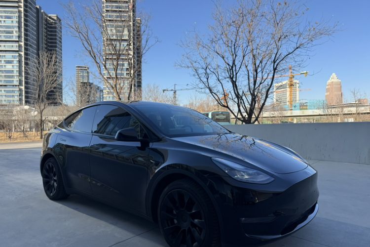 Used Tesla Model Y 2021 Standard Range Rear-Wheel Drive Version
