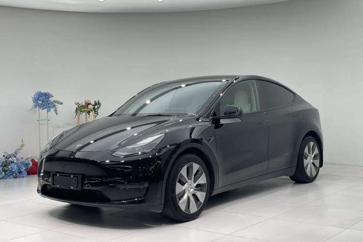 Used Tesla Model Y 2021 Standard Range Rear-Wheel Drive Version