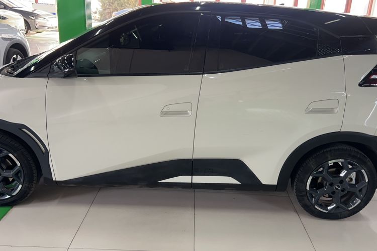 Used BYD Seagull 2025 305 km Free Version
