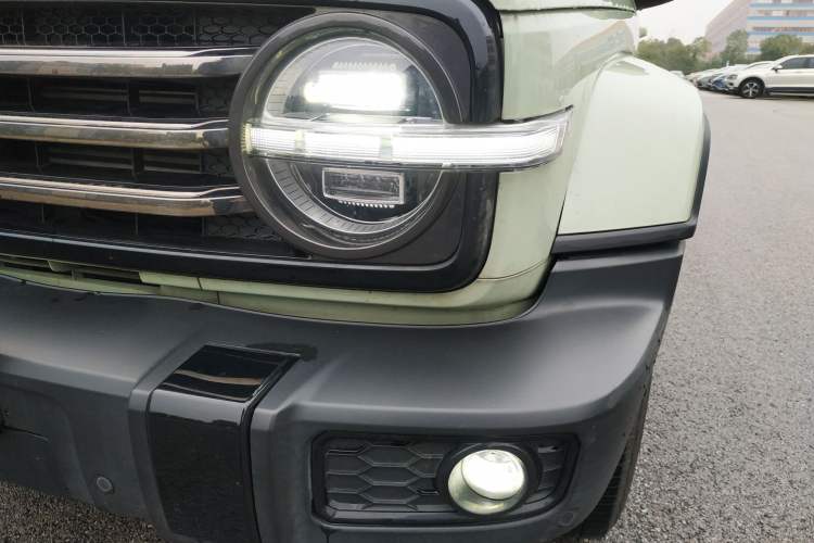 Used Tank 300 2024 2.0T Crosser
