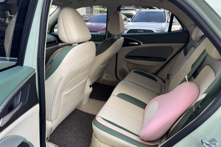 Used ORA Good Cat 2022 Morandi Edition 400km Standard Range Premium Version Lithium-Ion Battery
