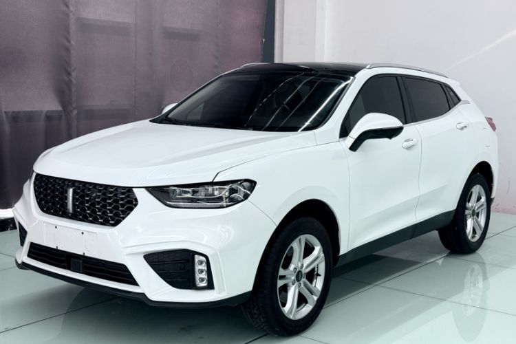 Used Wey VV5 2020 1.5T Two-Wheel Drive Color Pioneer