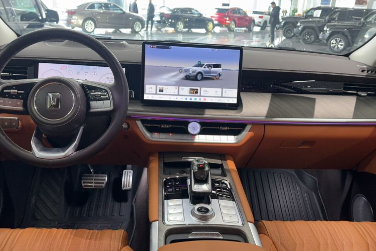 Used Tank 500 New Energy 2025 Hi4-Z