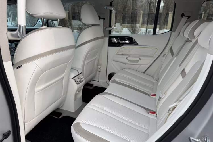 Used  Tank 300 2021 2.0T Cyber Tank